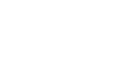 logo light